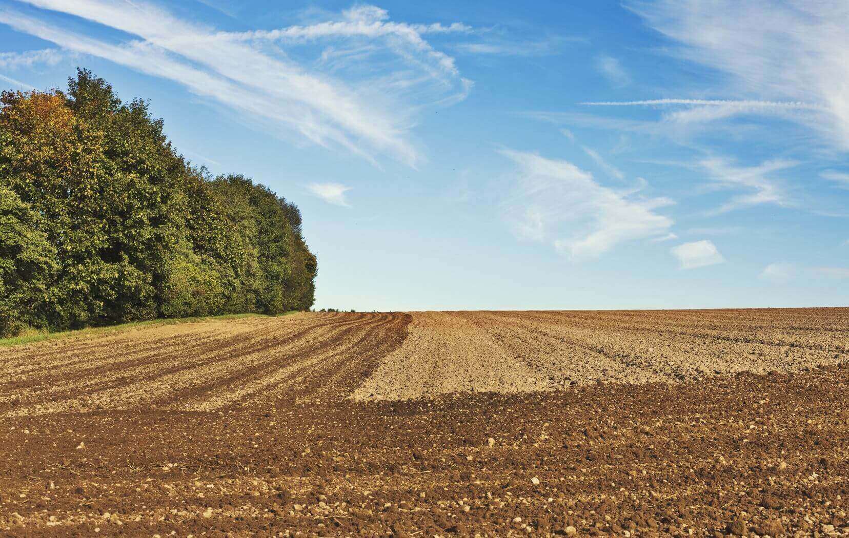 Terrenos agricolas