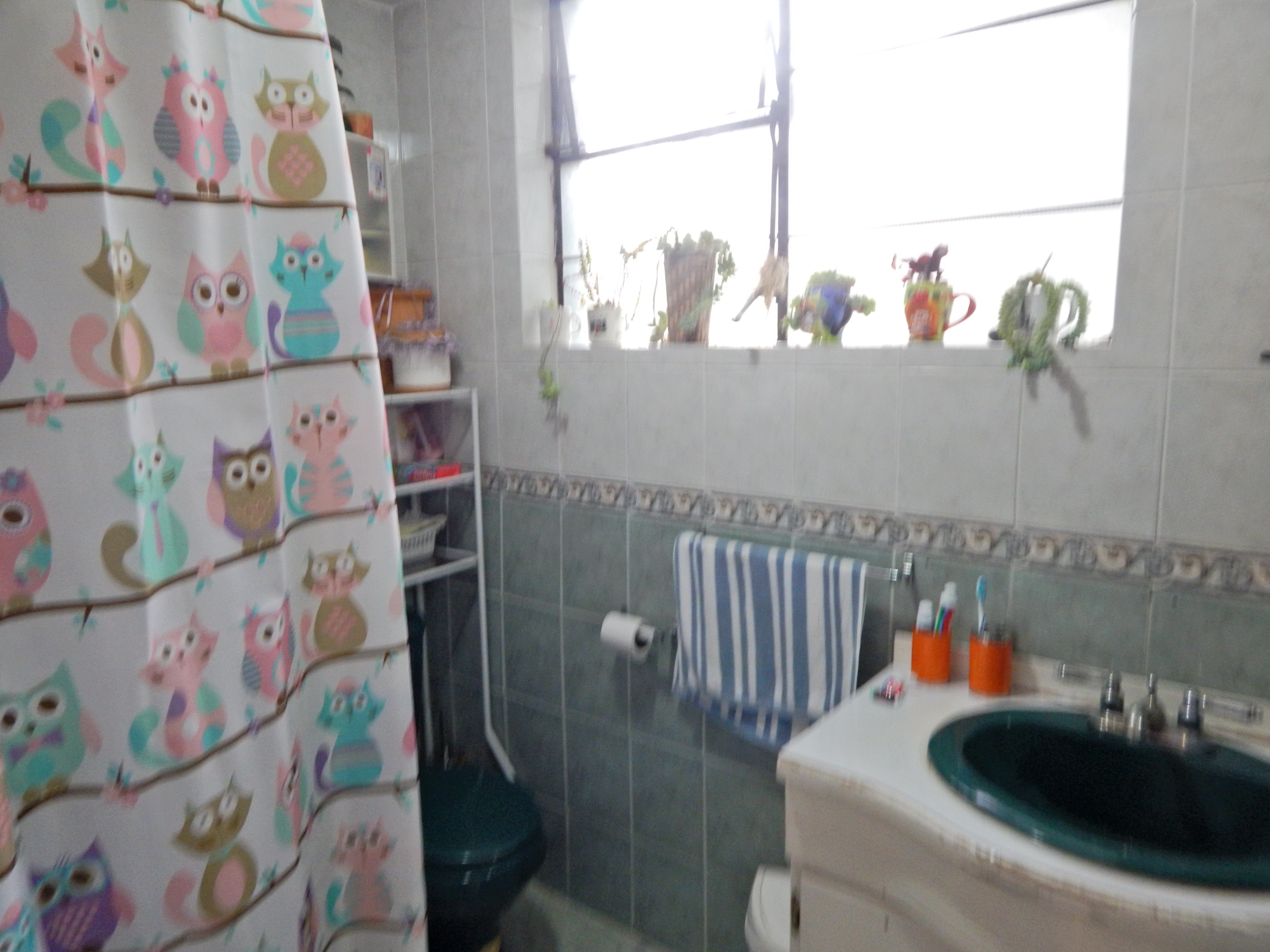 DSCN0388