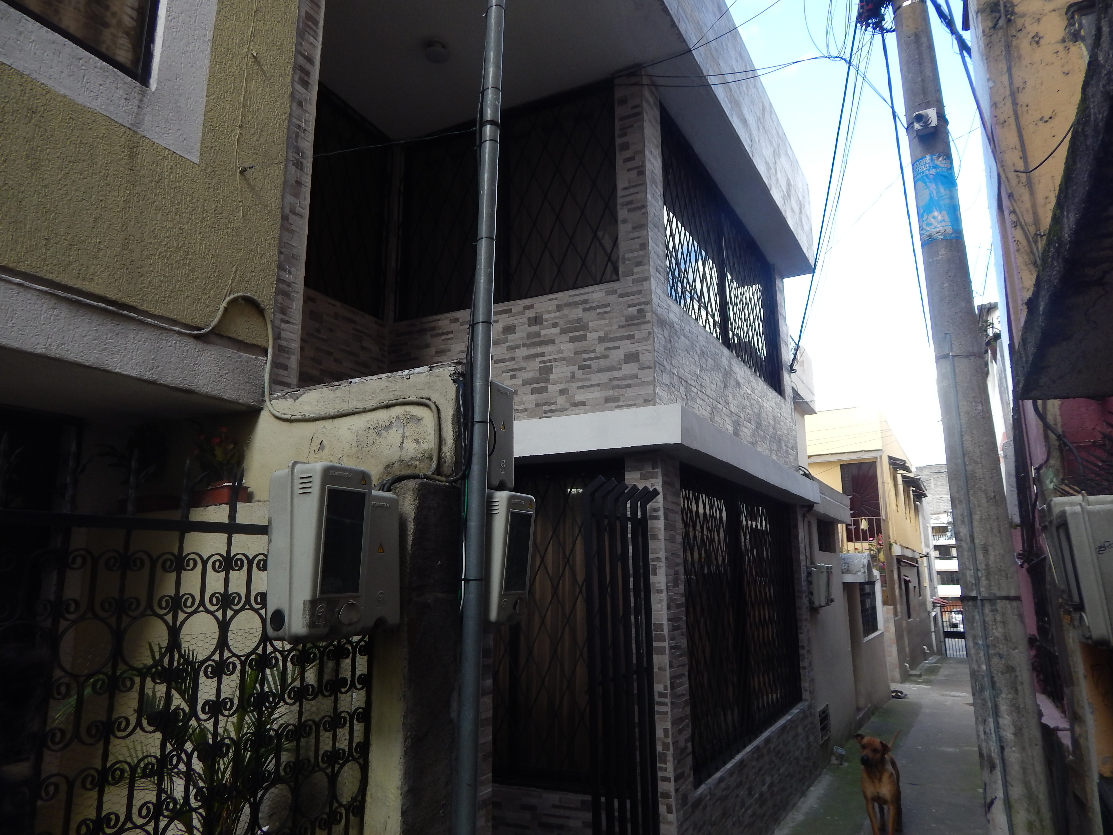 DSCN1077