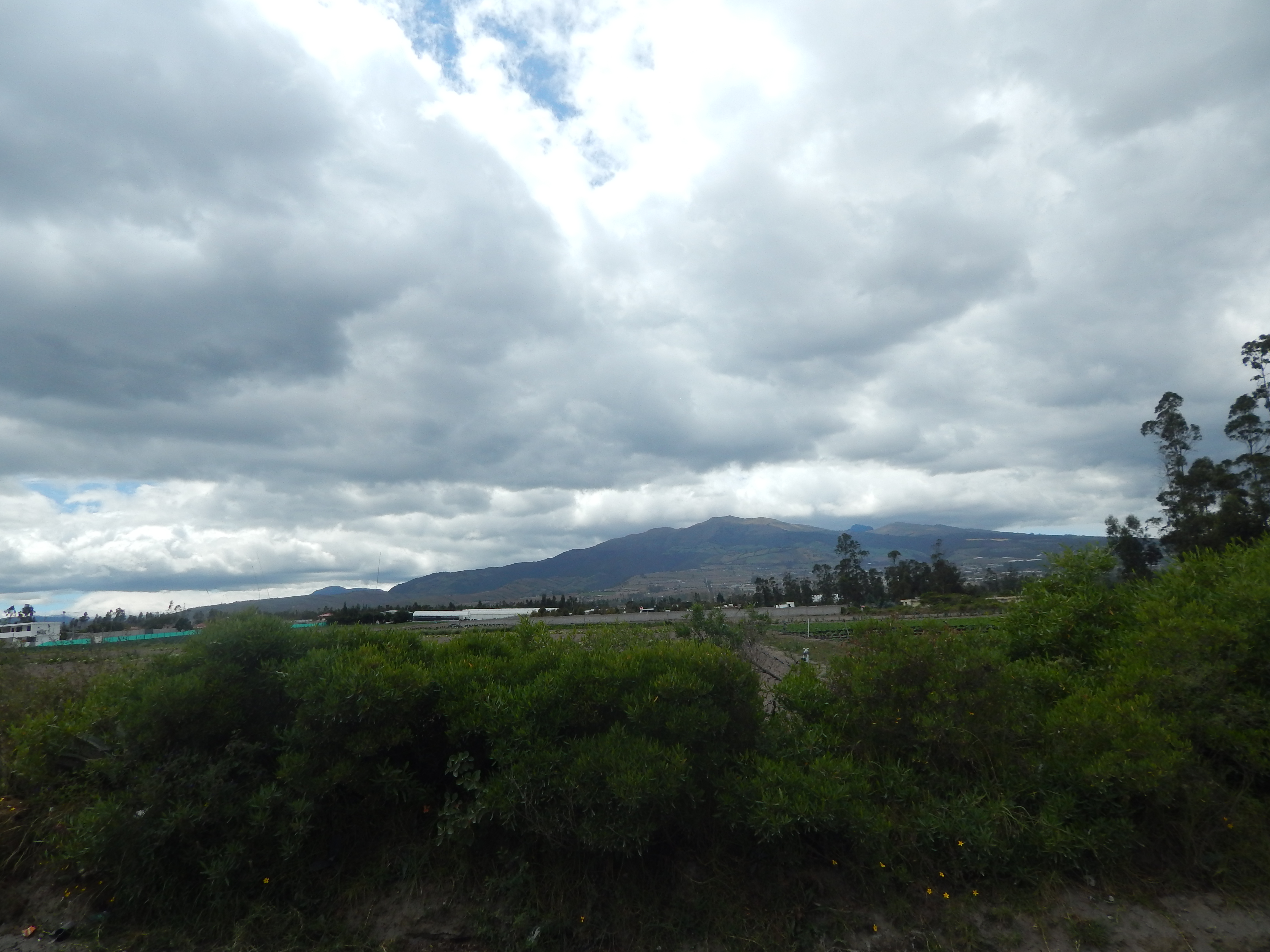 DSCN1220