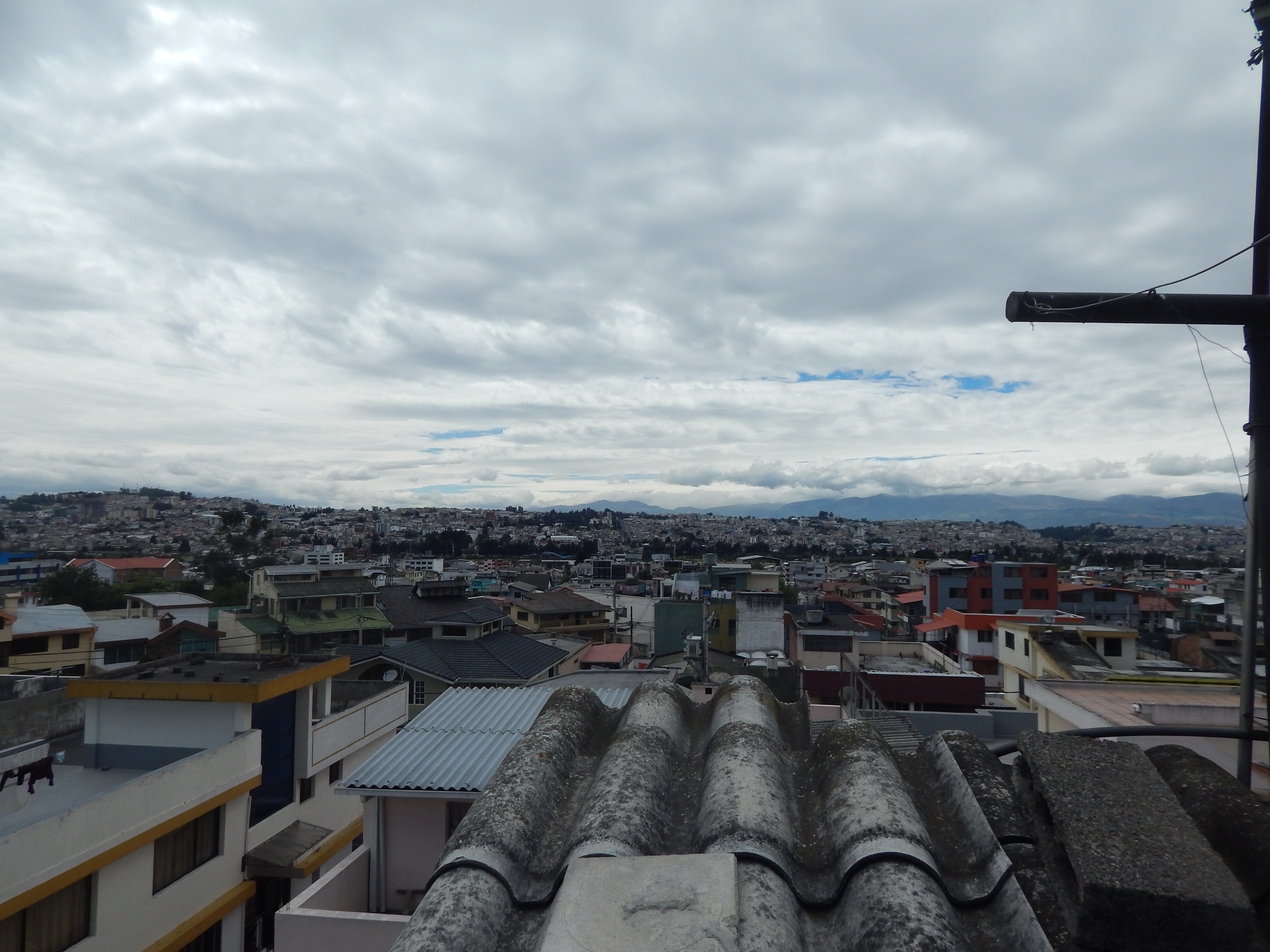 DSCN1317