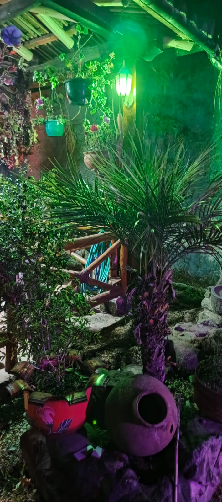 WhatsApp Image 2026 01 19 at 5.05.09 PM