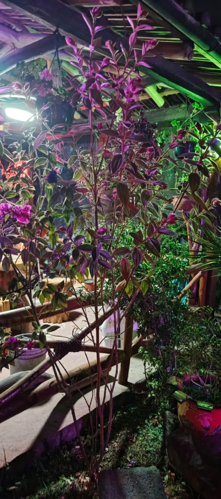 WhatsApp Image 2026 01 19 at 5.05.11 PM