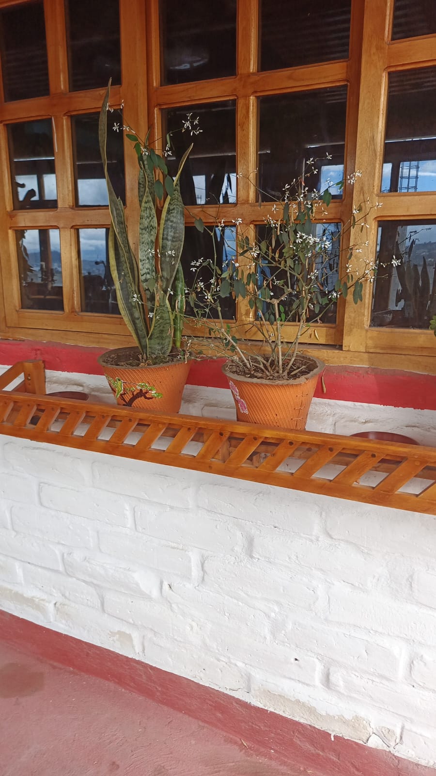 WhatsApp Image 2026 01 20 at 3.00.17 PM