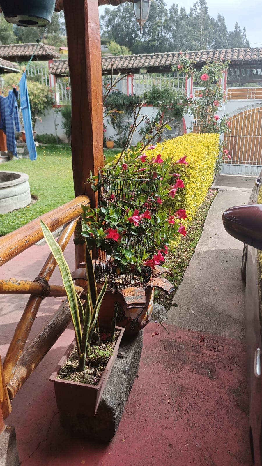 WhatsApp Image 2026 01 20 at 3.00.25 PM