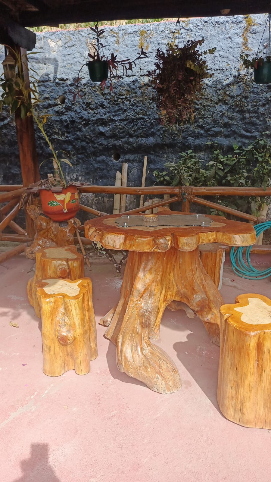 WhatsApp Image 2026 01 20 at 3.12.07 PM