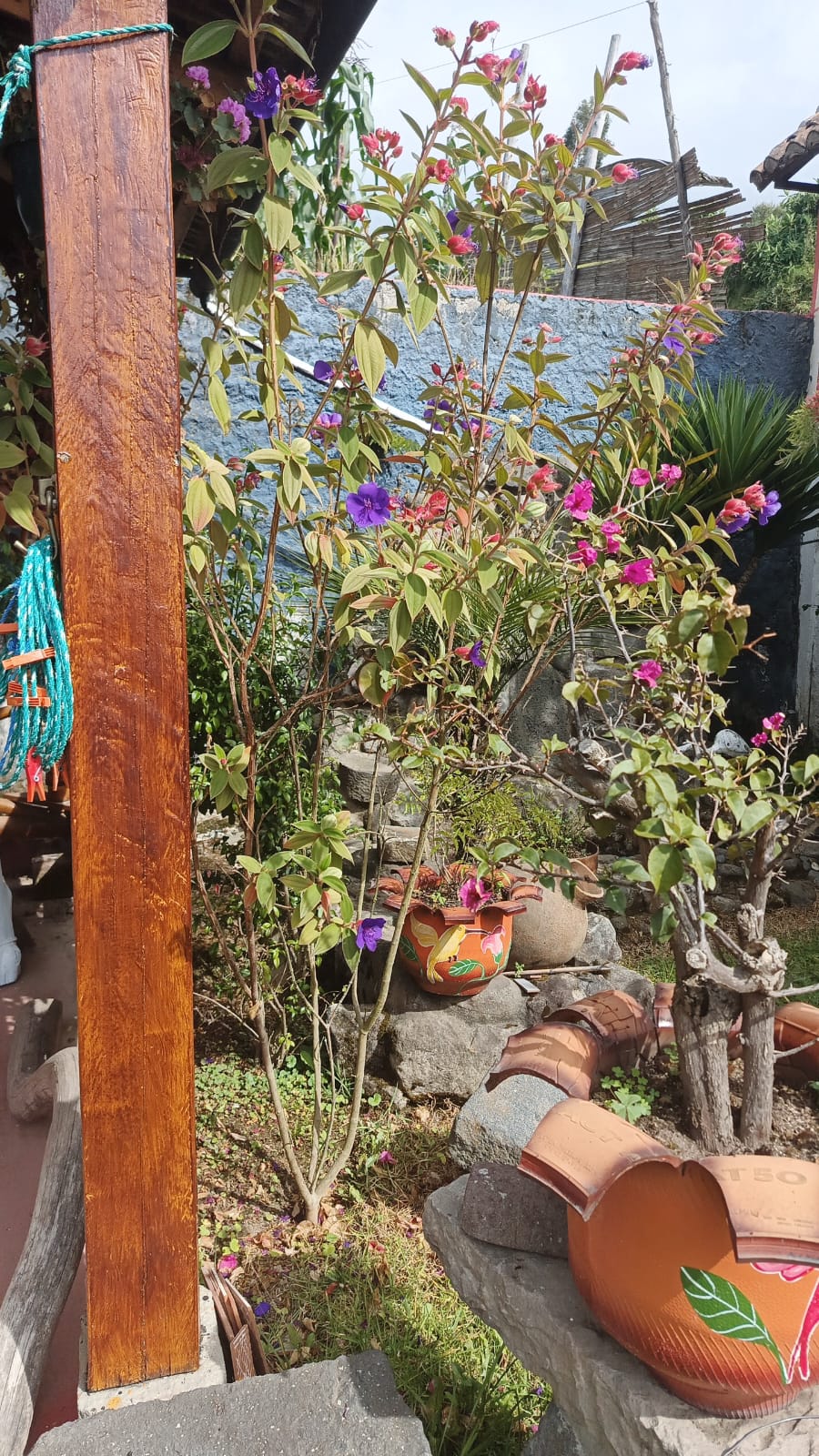 WhatsApp Image 2026 01 20 at 3.12.16 PM