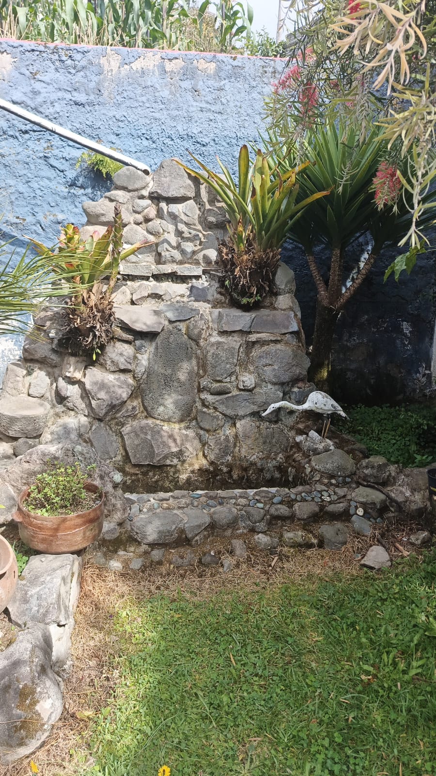 WhatsApp Image 2026 01 20 at 3.12.23 PM