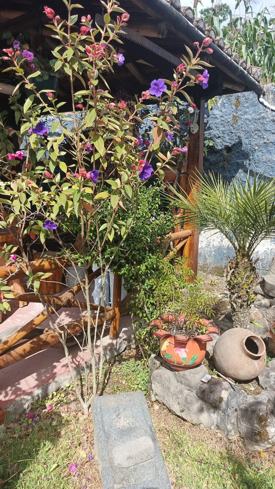 WhatsApp Image 2026 01 20 at 3.12.29 PM