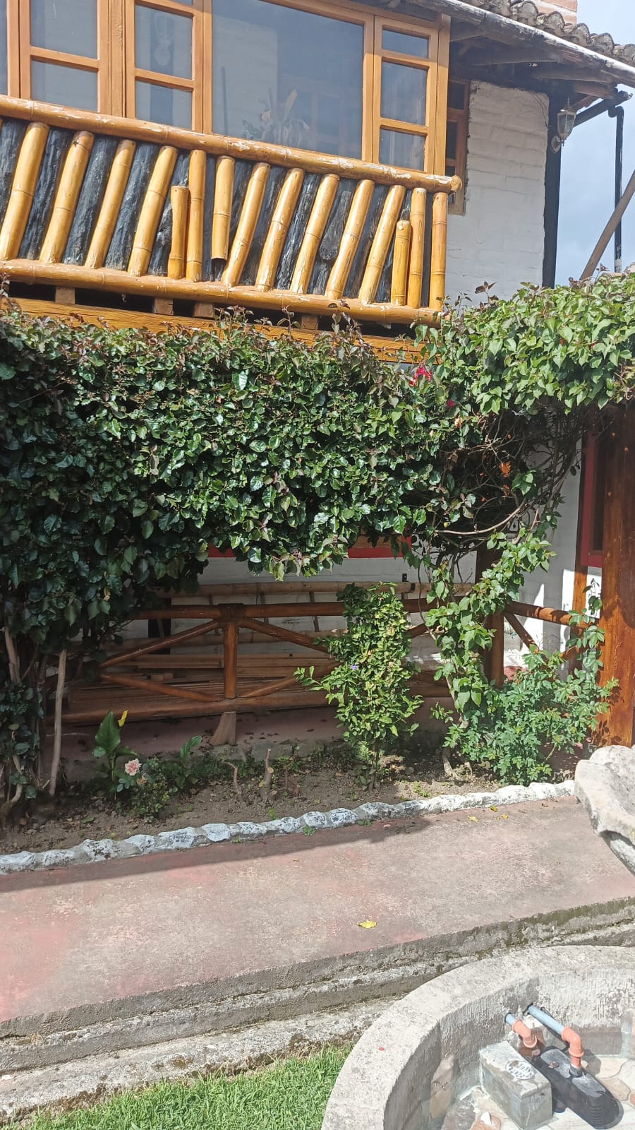 WhatsApp Image 2026 01 20 at 3.13.11 PM