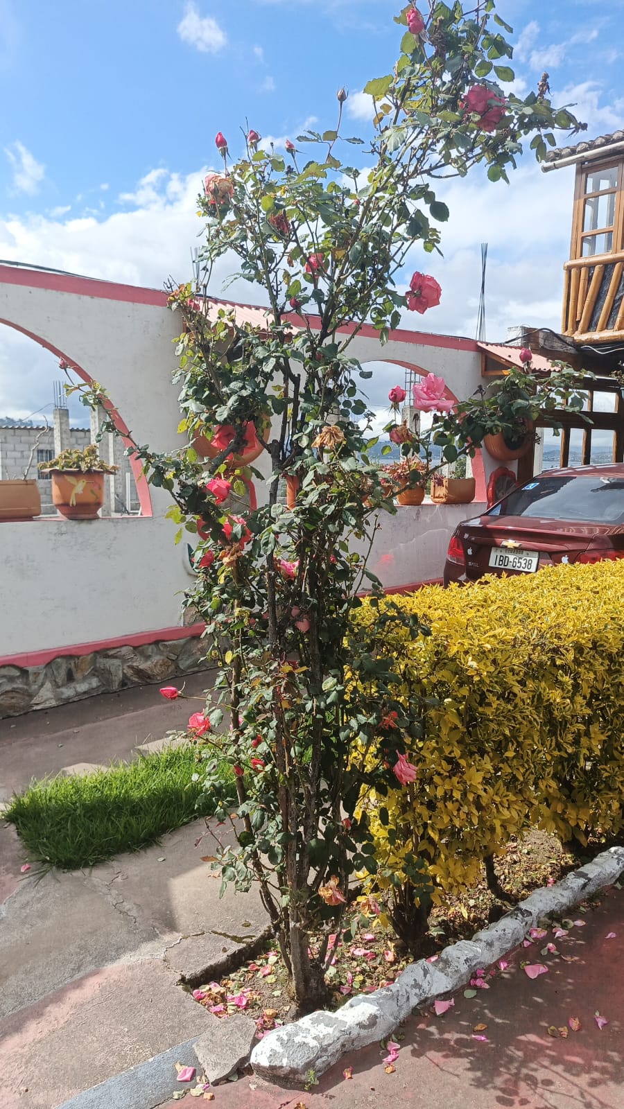 WhatsApp Image 2026 01 20 at 3.13.21 PM