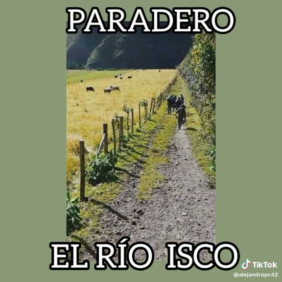 Download frame at 0m46s