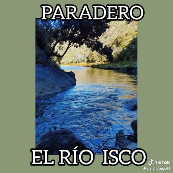 Download frame at 1m14s