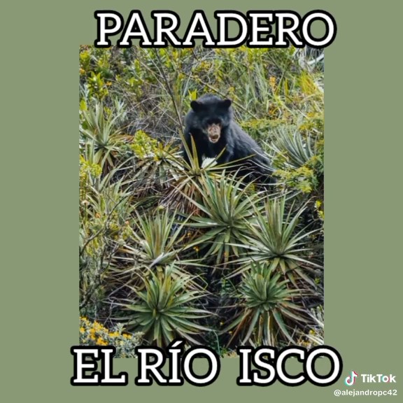 Download frame at 1m16s