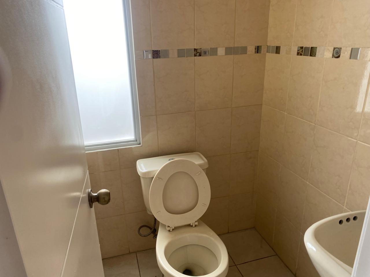 WhatsApp Image 2026 02 20 at 4.24.22 PM