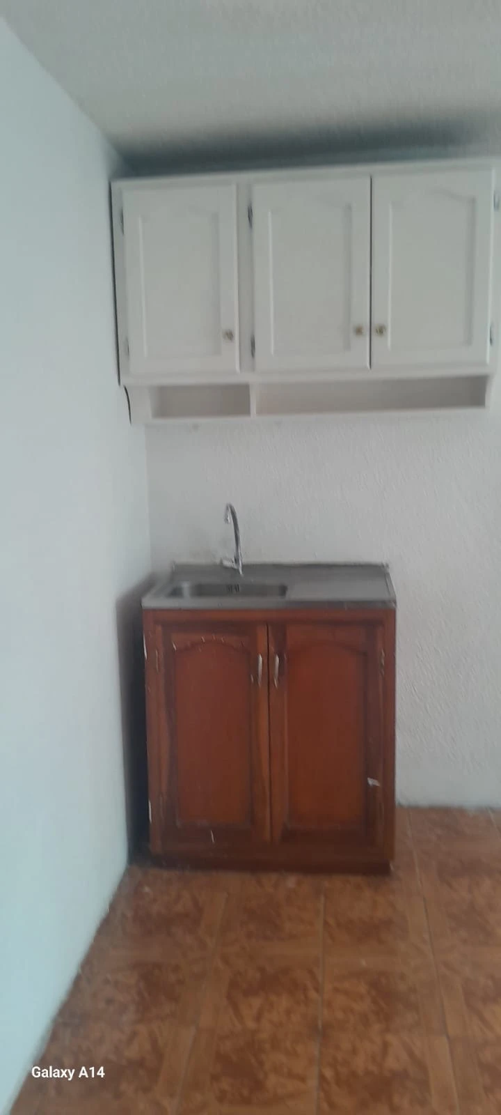 imagen 09